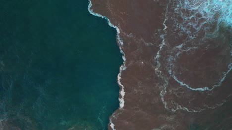 the beautiful ocean line in oahu, hawaii, where river water mixes with the ocean - top view