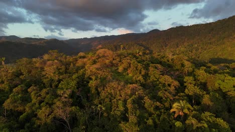 Drone-aerial-footage-of-Jaco-Costa-Rica-rainforest-coast-trees-jungle-Central-America