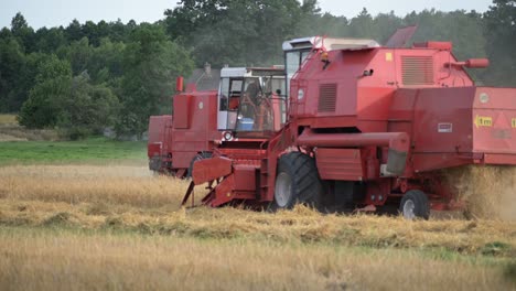 un par de máquinas de cosecha de tractores rojos trabajando juntos como equipo en la temporada de cosecha en el campo orgánico de tierras agrícolas
