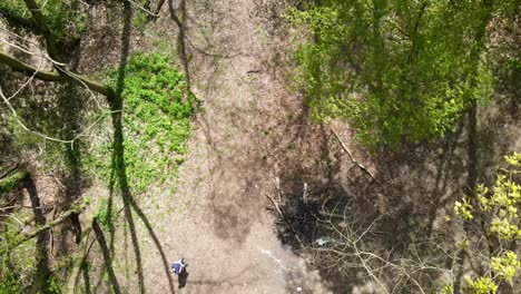 Flying-a-drone-through-trees-in-a-forest-in-Maastricht,-The-Netherlands