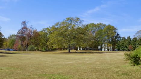 Árboles-Distantes-En-Un-Gran-Campo-De-Hierba-Con-Un-Banco-Debajo-En-Un-Parque-Público