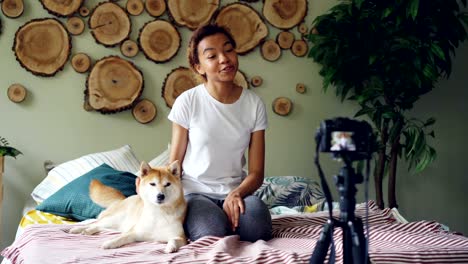 charming young lady is recording video about pet dogs, talking to followers and caressing cute animal, laughing and showing thumbs-up gesture. people and technology concept.