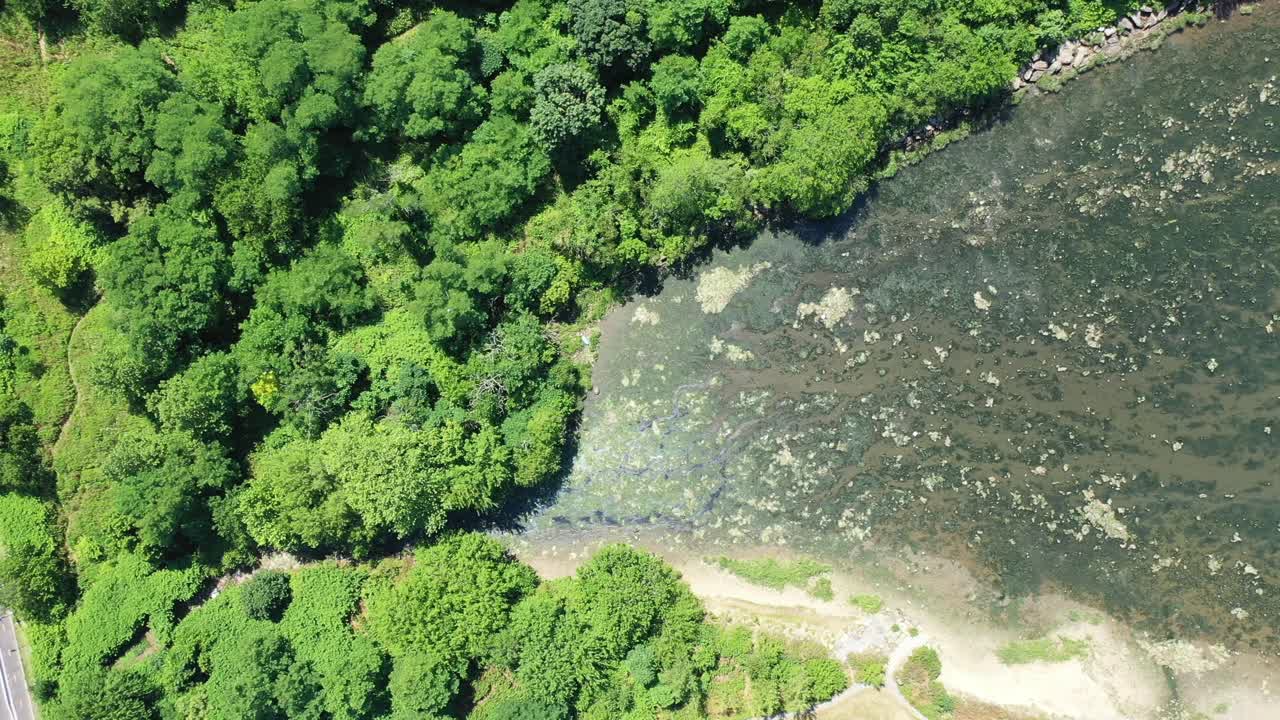 A drone shot over Gravesend Bay in Brooklyn, NY. It is a sunny day and the water is very reflective. There are green trees along the shore and algae on the water. The camera trucks to the right slowly