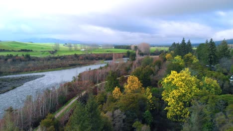 Aerial-view-of-a-river-that-splits-into-two-branches,-surrounded-by-a-dense-forest-of-tall-colourful-trees