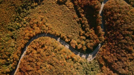 Imágenes-Aéreas-De-La-Vista-Aérea-De-Los-Automóviles-Que-Circulan-Por-Una-Carretera-En-Forma-De-S-Que-Serpentea-En-Medio-De-Un-Bosque-De-Colores-Otoñales