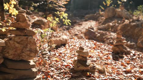 rock balancing on the autumn forest floor