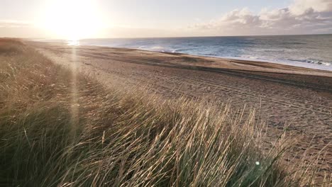 Beach,-North-sea,-slow-motion