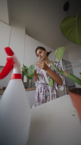 woman caring for houseplants in kitchen