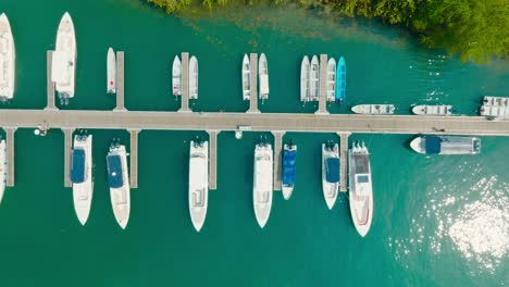 top down drone shot of parking boats, marina in colombia, cartagena