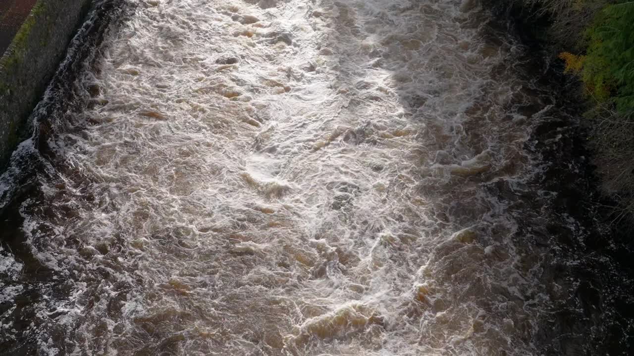 A drone flying backwards directly over a fast flowing river and waterfall tilts down to face the white water while surrounded by a forest of autumn coloured trees