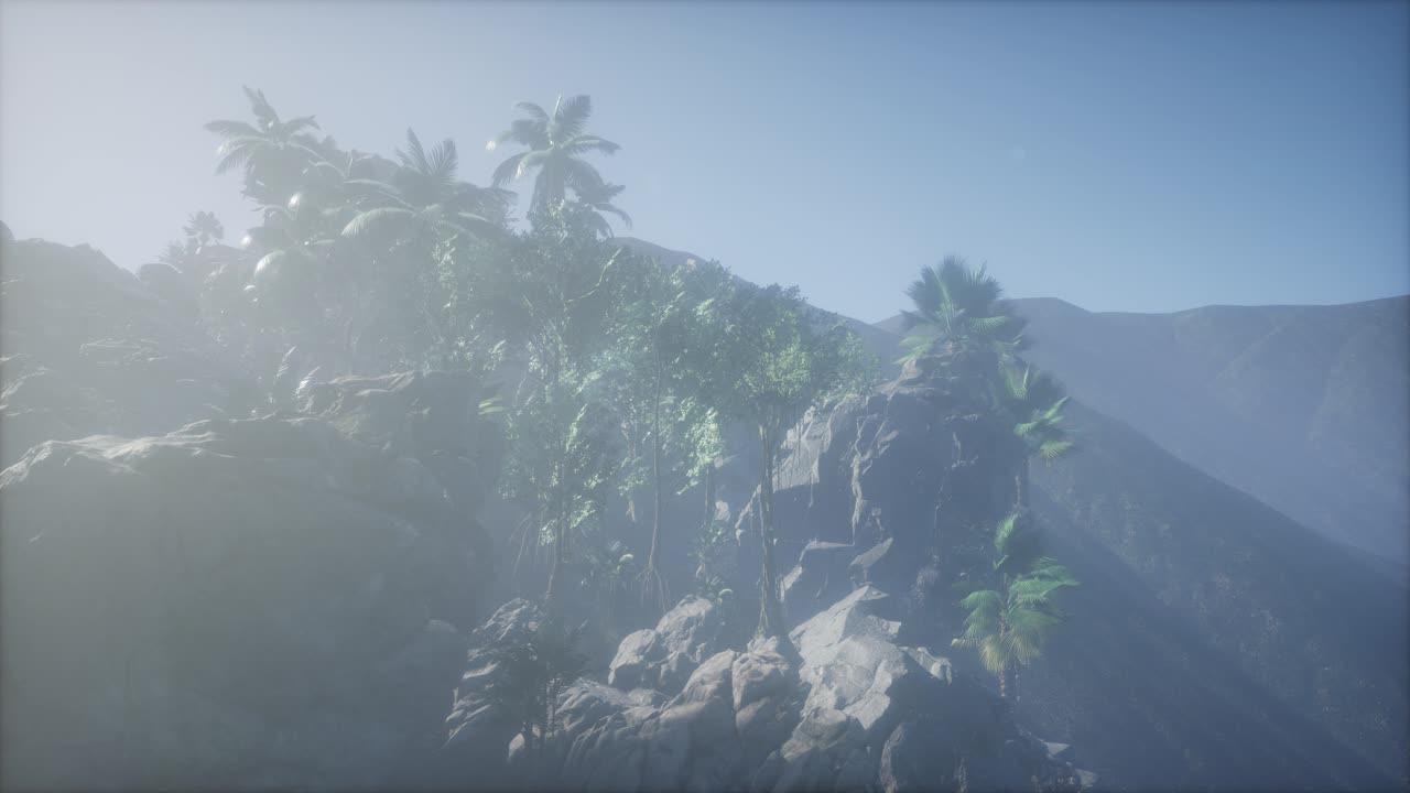 ⁇ 나무 를 가로지르는 해 가 지는 광선