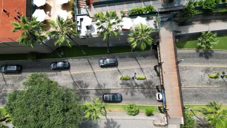 hermoso disparo de drone aéreo de algunos coches conduciendo a través de un puente en una calle histórica hecha de piedras, al lado de un club deportivo, jardines y palmeras