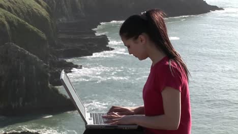 Mujer que trabaja en la computadora portátil