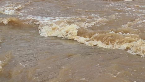closeup of river or stream, with muddy appearance and turbulent waves, rain cause runoff from the land, carrying soil, silt, clay, and other organic materials into the water body