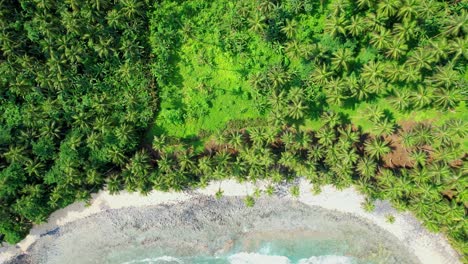 Vista-Panorámica-De-La-Magnífica-Costa-Sur-De-Santo-Tomé,-Rodeada-Por-Un-Bosque-De-Lujo-Y-Una-Playa-Con-Mar-Turquesa-Y-Olas-Rompiendo,-África-Occidental