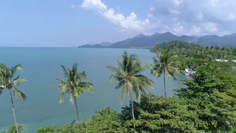 Tropical-Island-Coast-Line-Beach-Ocean-Palm-Tree-High-Quality-4K-Drone-Aerial