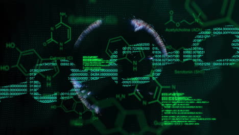 Animación-Del-Globo-Y-La-Cadena-Sobre-Procesamiento-De-Datos-Y-Fórmula-Química-Sobre-Fondo-Negro