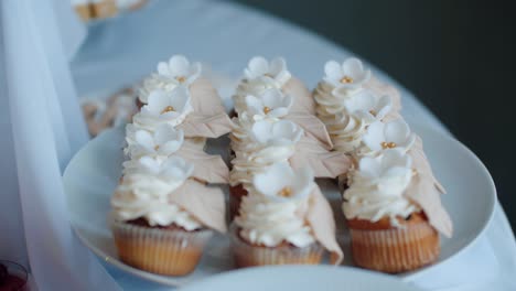 creamy cupcakes with white flowers on top on plate, close-up pull-out