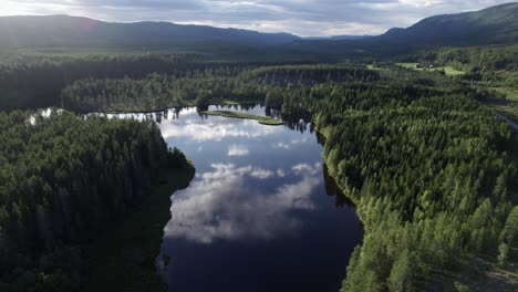 Flug-über-Wildem-Fluss-Im-Wald-Bei-Sonnigem-Wetter,-Luftaufnahme-Von-Norwegen