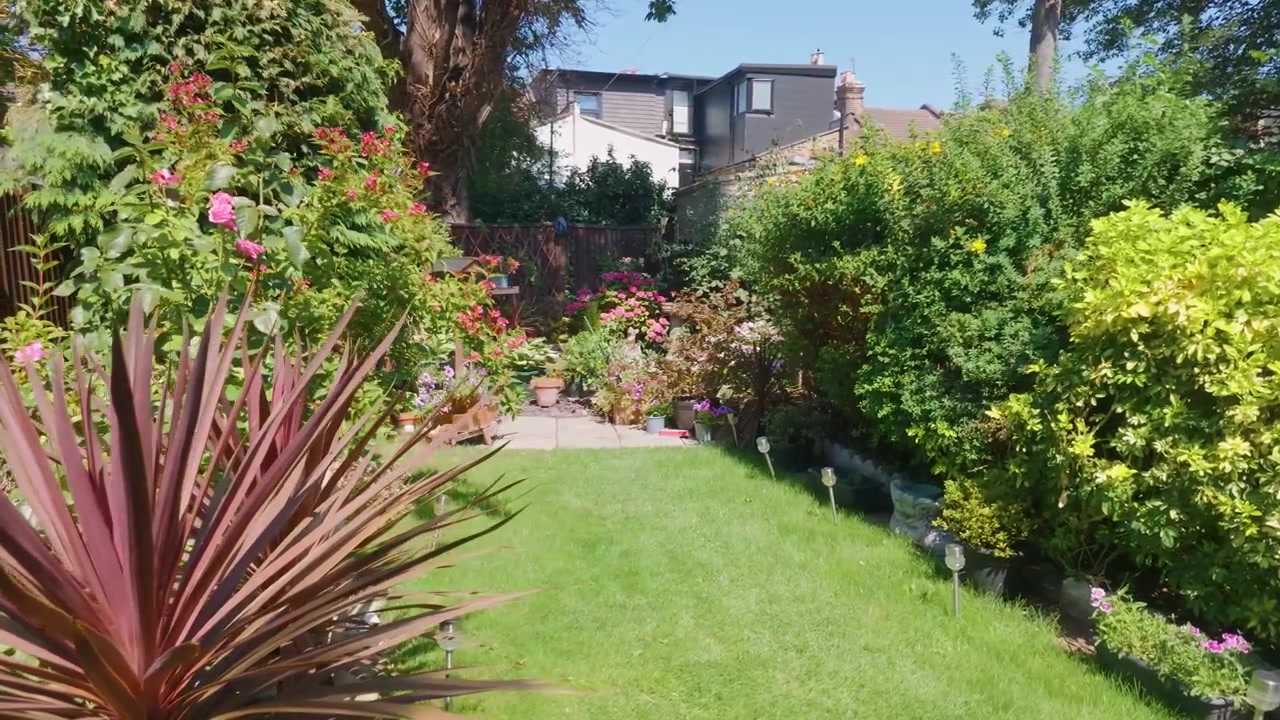 Panoramisch beeld van een stadstuin toont een potrand, net gazon, hortensia's in potten, een grote plataan, gemengde struiken en bloeiende planten naast stadswoningen op een heldere zomerdag.