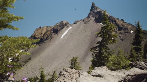 Snowy-summer-mountain-with-pretty-purple-flowers