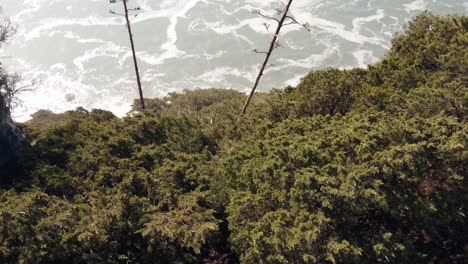 Revealing-view-that-unveils-the-vastness-of-Portugal's-coastal-area