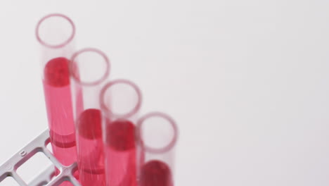 Video-of-glass-laboratory-test-tubes-with-red-liquid-and-copy-space-on-white-background