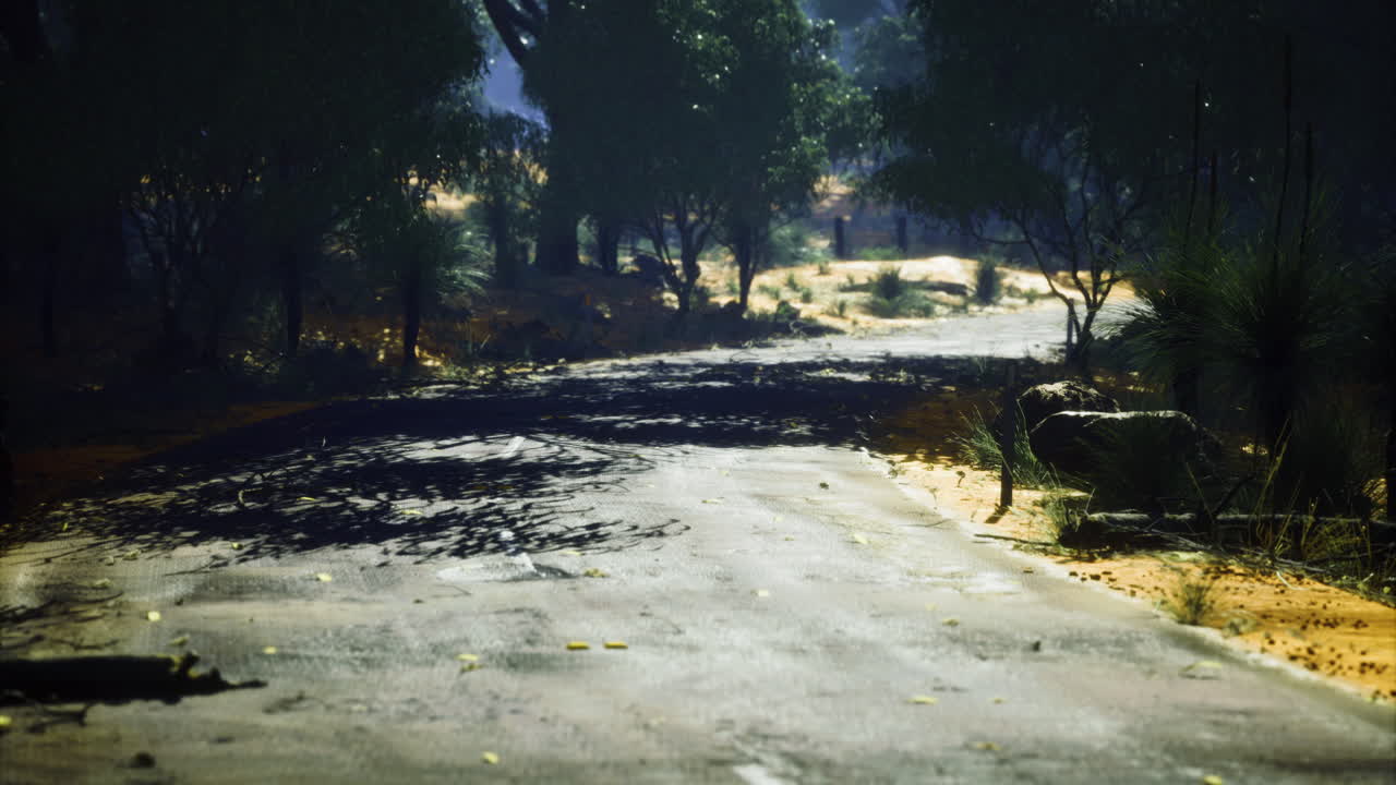 Empty dirt road surrounded by trees in a sunlit environment during daytime