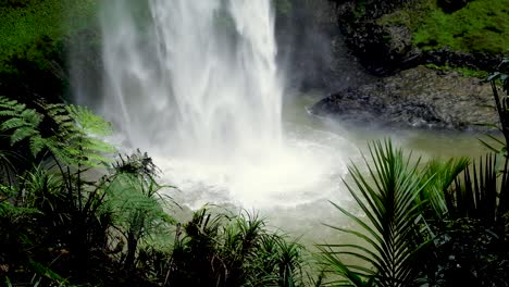 a glimpse of the magical bridal veil falls waterfall and swimming hole in nature's paradise with nz native flora and fauna in raglan, new zealand aotearoa