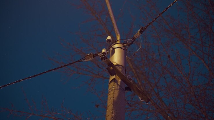 Un palo della luce con fili e connettori intrecciati, stagliato contro un cielo crepuscolare di un blu profondo, circondato da rami d'albero spogli, catturando un'atmosfera invernale urbana.
