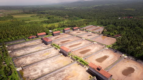 Leere-Garnelenfarm-Teiche,-Umgeben-Von-üppiger-Tropischer-Landschaft-Balis,-Luftaufnahme