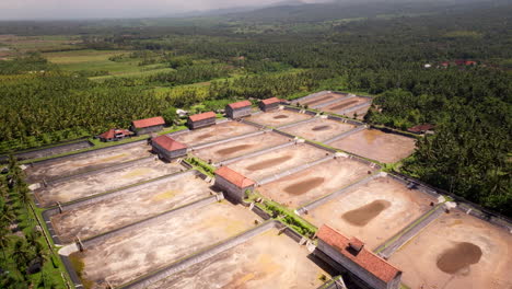 estanques vacíos de granjas de camarones rodeados por el exuberante campo tropical de bali, aérea