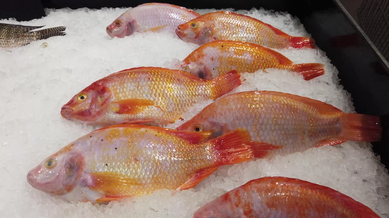 Raw Red Tilapia Display on Ice, Close Up