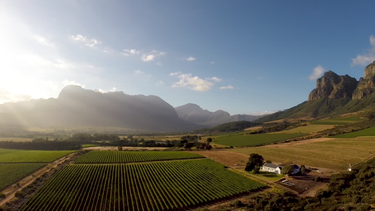 대규모 와인 농장의 공중 영상-드론 영상