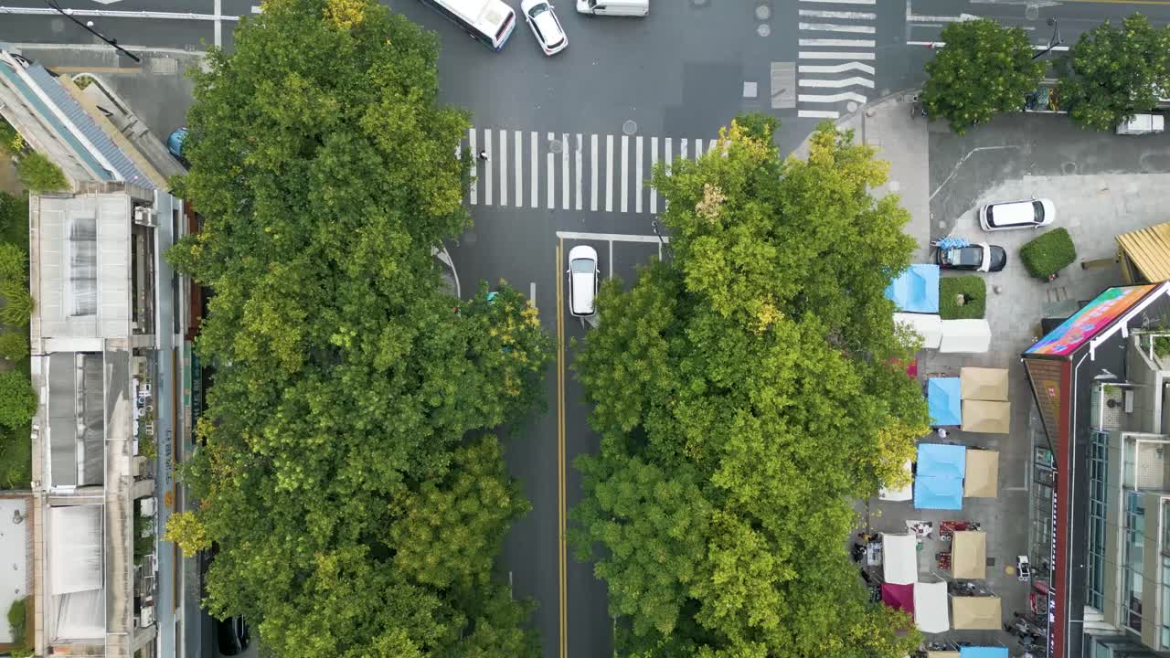 Premium stock video - Top-down shot of cars driving under trees in a ...