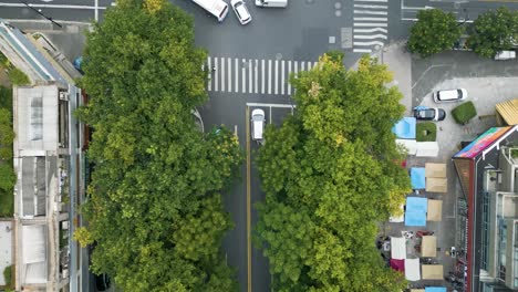 Top-down-shot-of-cars-driving-under-trees-in-a-street-in-downtown-Hangzhou