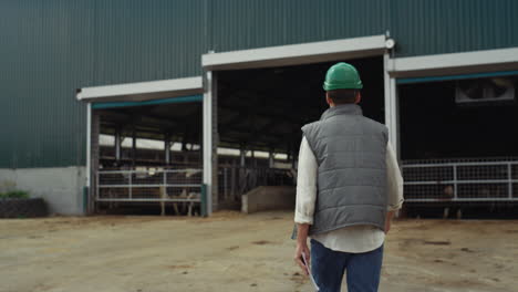 farm breeder walking modern cowshed rear view. agriculture facility building