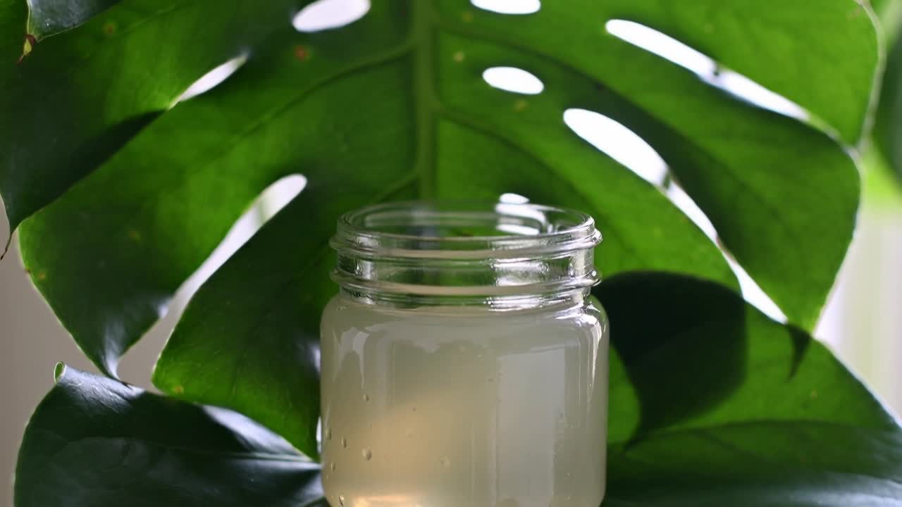 Kameraet trekker seg tilbake og avslører et Norgesglass som står på et Monstera-blad ved et vindu som viser dråper og uklar gelé.