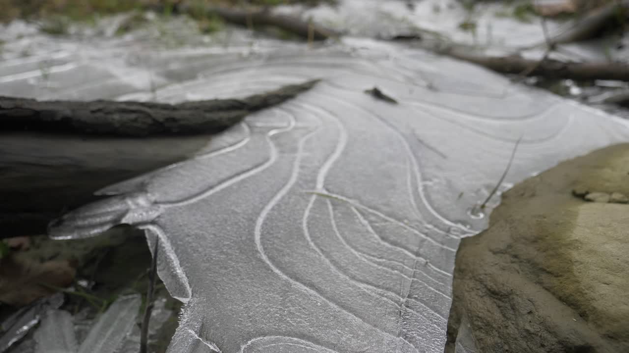 In the Doftana Valley in Romania I found a small frozen lake, with some stripes that create a story frame. from it sprang some frozen tree trunks.