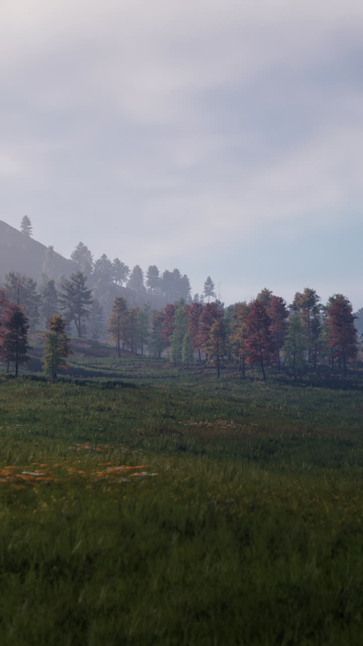 paisaje de otoño con bosque brumoso y campo cubierto de hierba