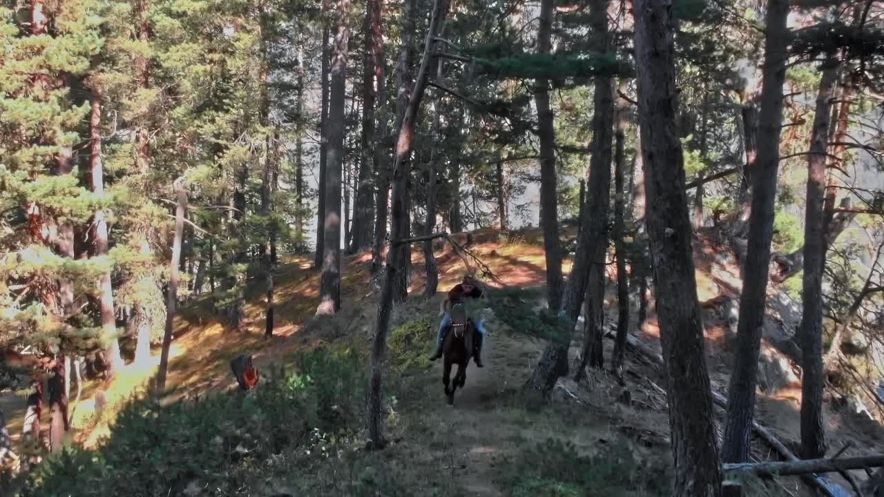 Hikers explore forested trails in the Caucasus region of Georgia