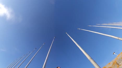 walking-low-angle-looking-up-towards-blue-sky