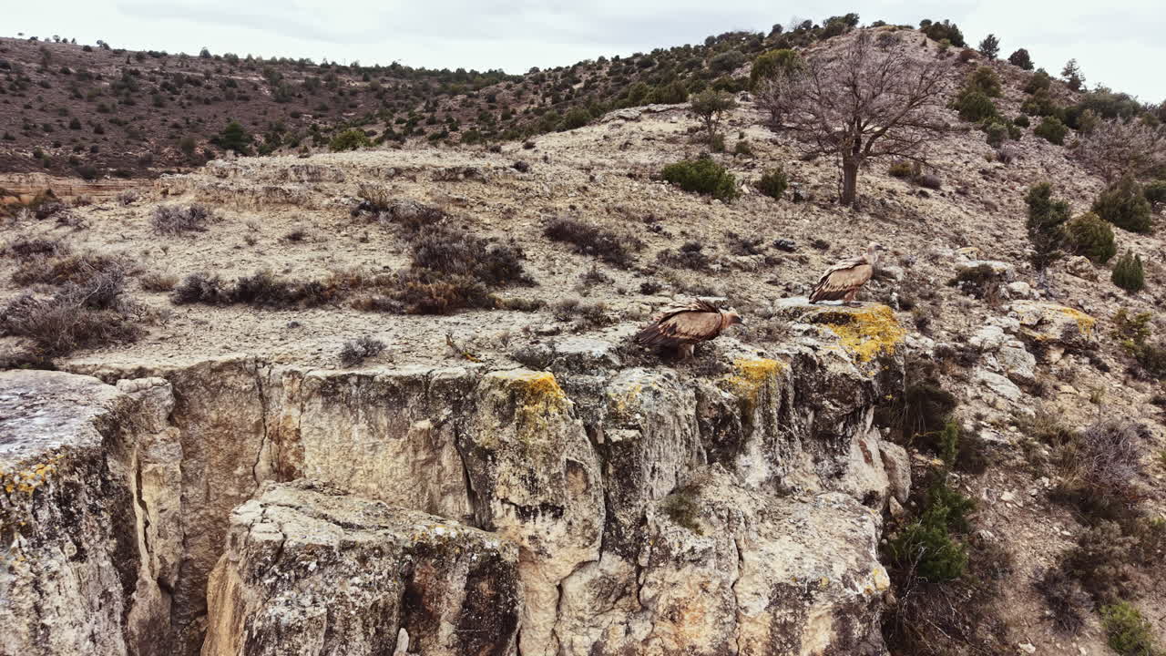 Birds sit on rocky cliffs in a dry landscape with sparse vegetation under a cloudy sky in a remote outdoor area