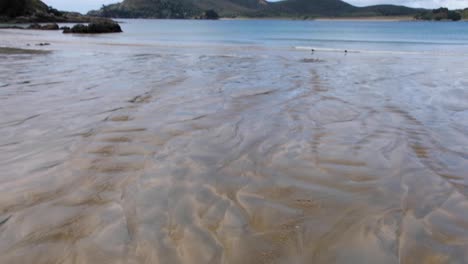 Shallow-water-running-over-sandy-beach-New-Zealand-landscape-with-native-Oystercatcher-birds-wading-on-the-coastline-in-North-Island-NZ-Aotearoa