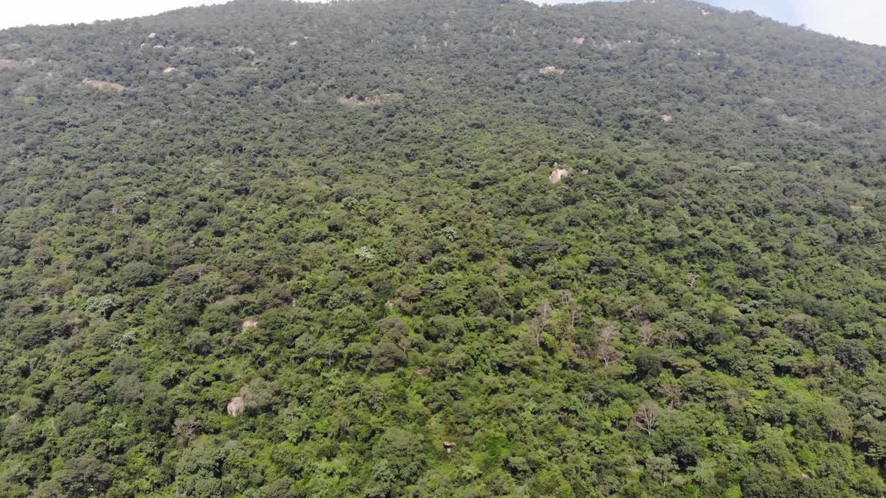 Ripresa aerea dall'alto di una foresta verde su una montagna nell'India del Sud in una giornata luminosa.