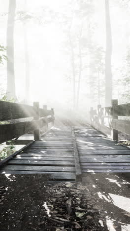 misty forest bridge