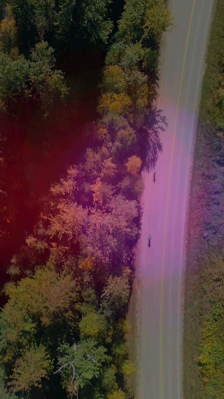 Video verticale: Drone che vola su una strada alberata, il sole crea bagliori mentre mostra due figure in movimento