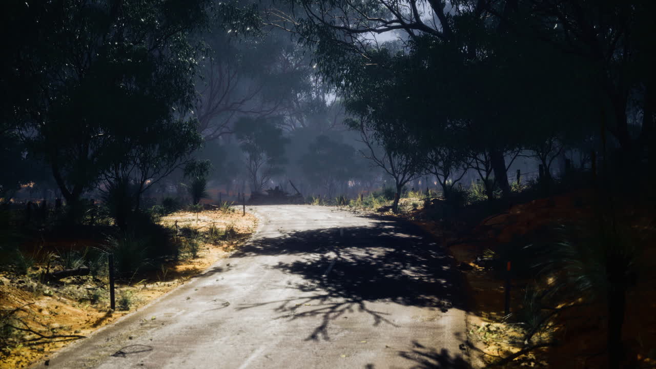 Mysterious winding road through a dense forest at twilight