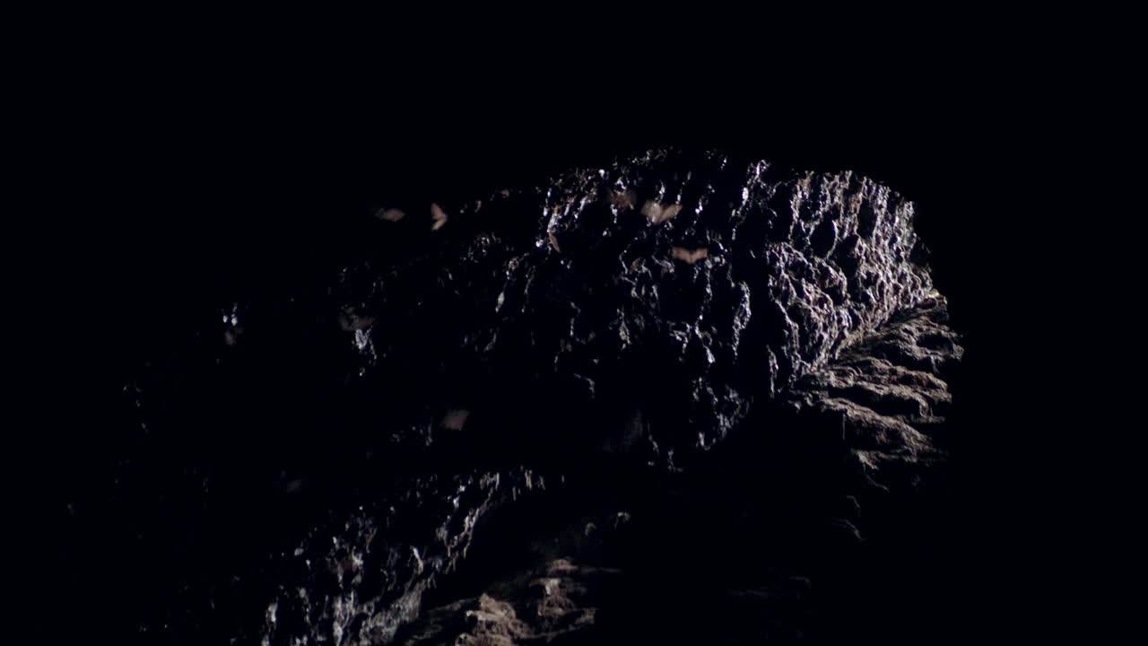 박쥐가 있는 큰 자연 동굴 내부의 근접 구멍