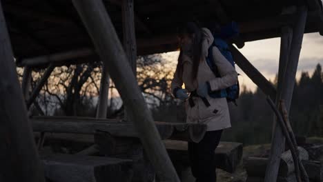 woman hiker with backpack in mountain landscape